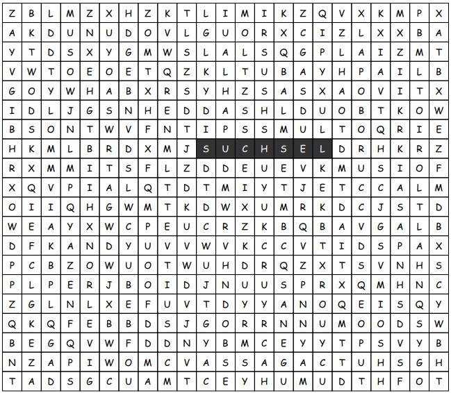 Was ist ein Suchsel?