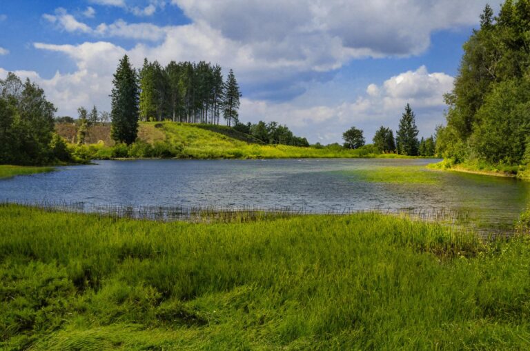 Welche Sehenswürdigkeiten gibt es im Harz?